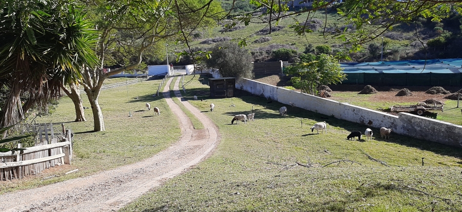 Commercial Property for Sale in Bergsig Western Cape